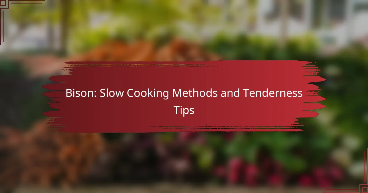 Bison: Slow Cooking Methods and Tenderness Tips