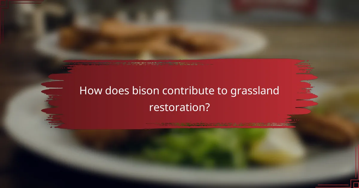How does bison contribute to grassland restoration?