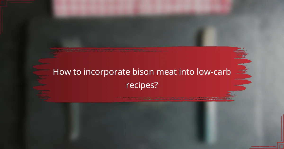 How to incorporate bison meat into low-carb recipes?