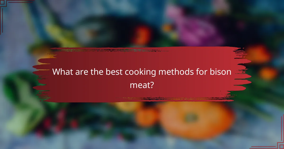 What are the best cooking methods for bison meat?