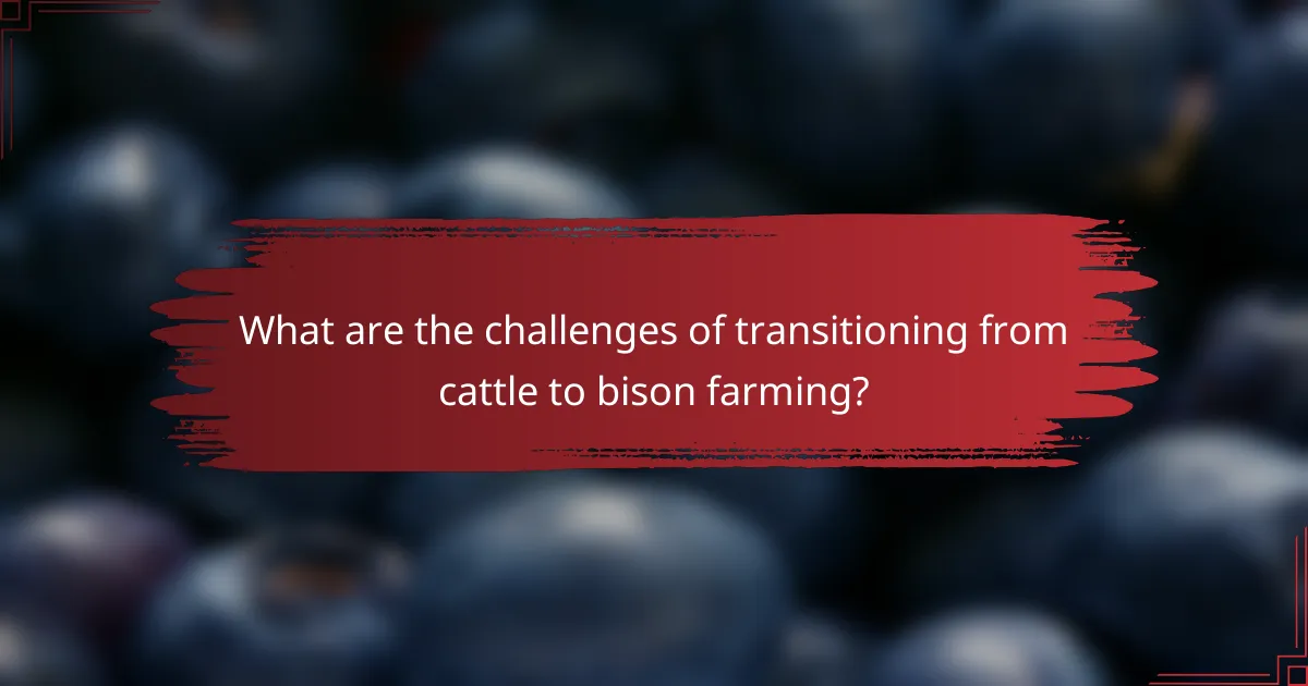 What are the challenges of transitioning from cattle to bison farming?
