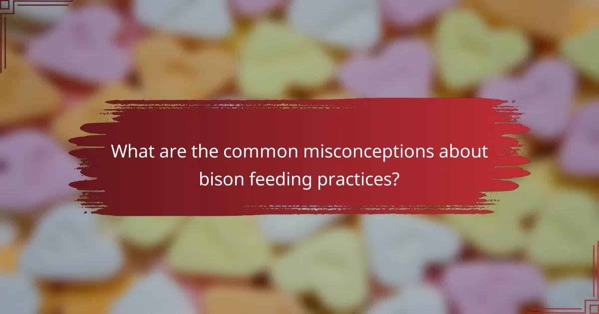 What are the common misconceptions about bison feeding practices?