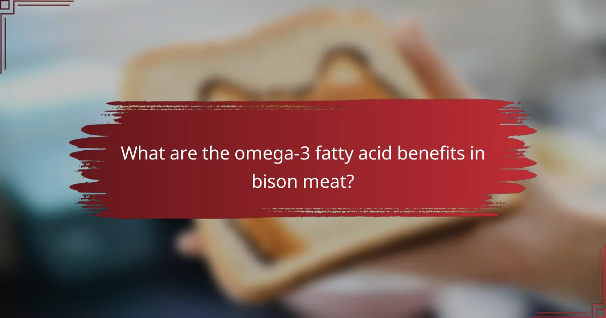 What are the omega-3 fatty acid benefits in bison meat?